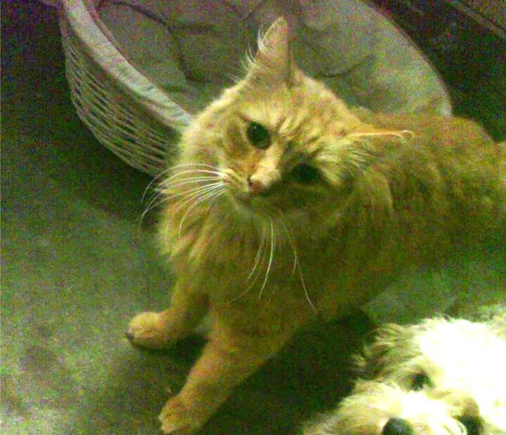 B体育中国内陆官方网站-“冠军悬念持续升级：排名变幻牵动百万粉丝心”，《冠军》