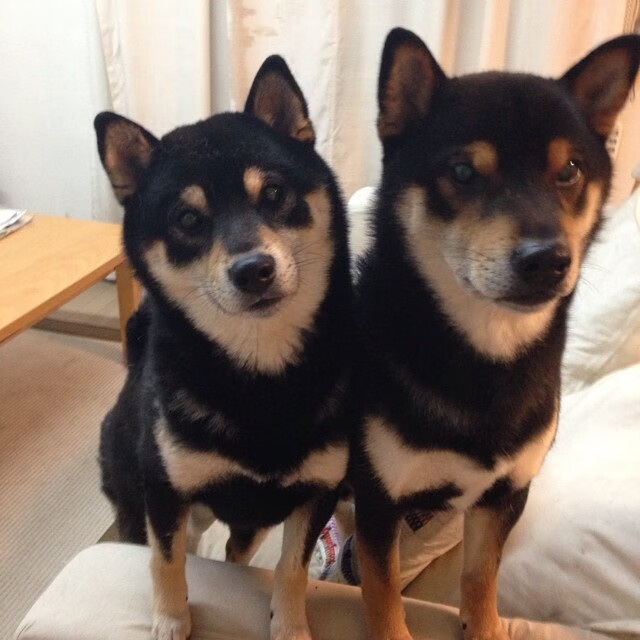 B 体育官网-“英超豪门遭遇强敌，胜负关系冠军归属”，英超六大豪门实力排名