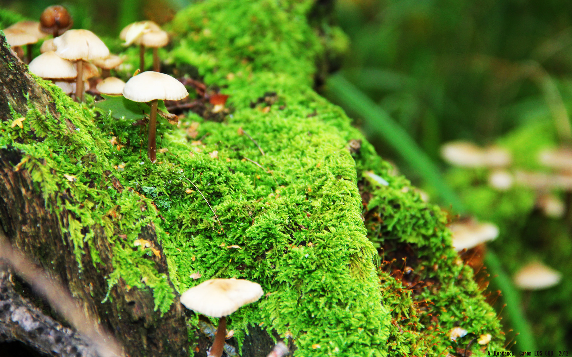 “英超豪门鏖战,迎来收官决战关键时刻”,英超豪门降级