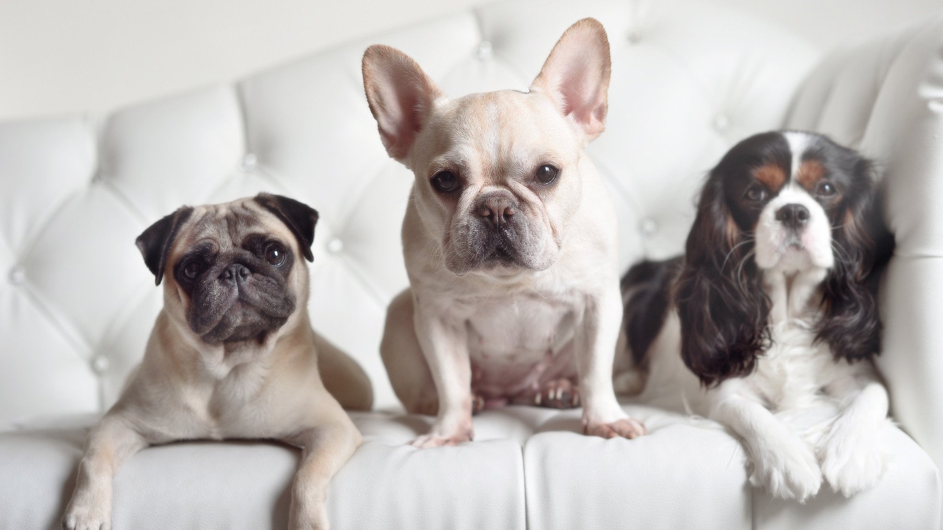 “英超赛场火热:比赛精彩程度不断升级”,英超比赛进程