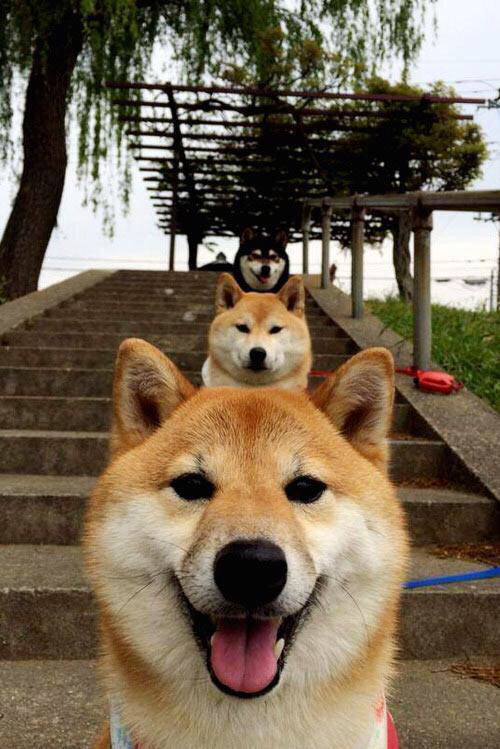 “英超超级对决:豪门激战,争夺榜首宝座”,英超经典对决