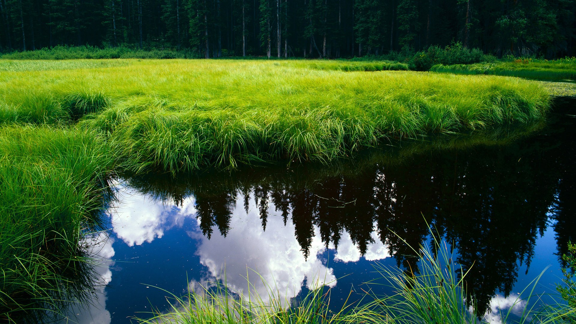 【赛事统计】关键数据解析与趋势预测,业务高手必修课_如何看懂关键数据