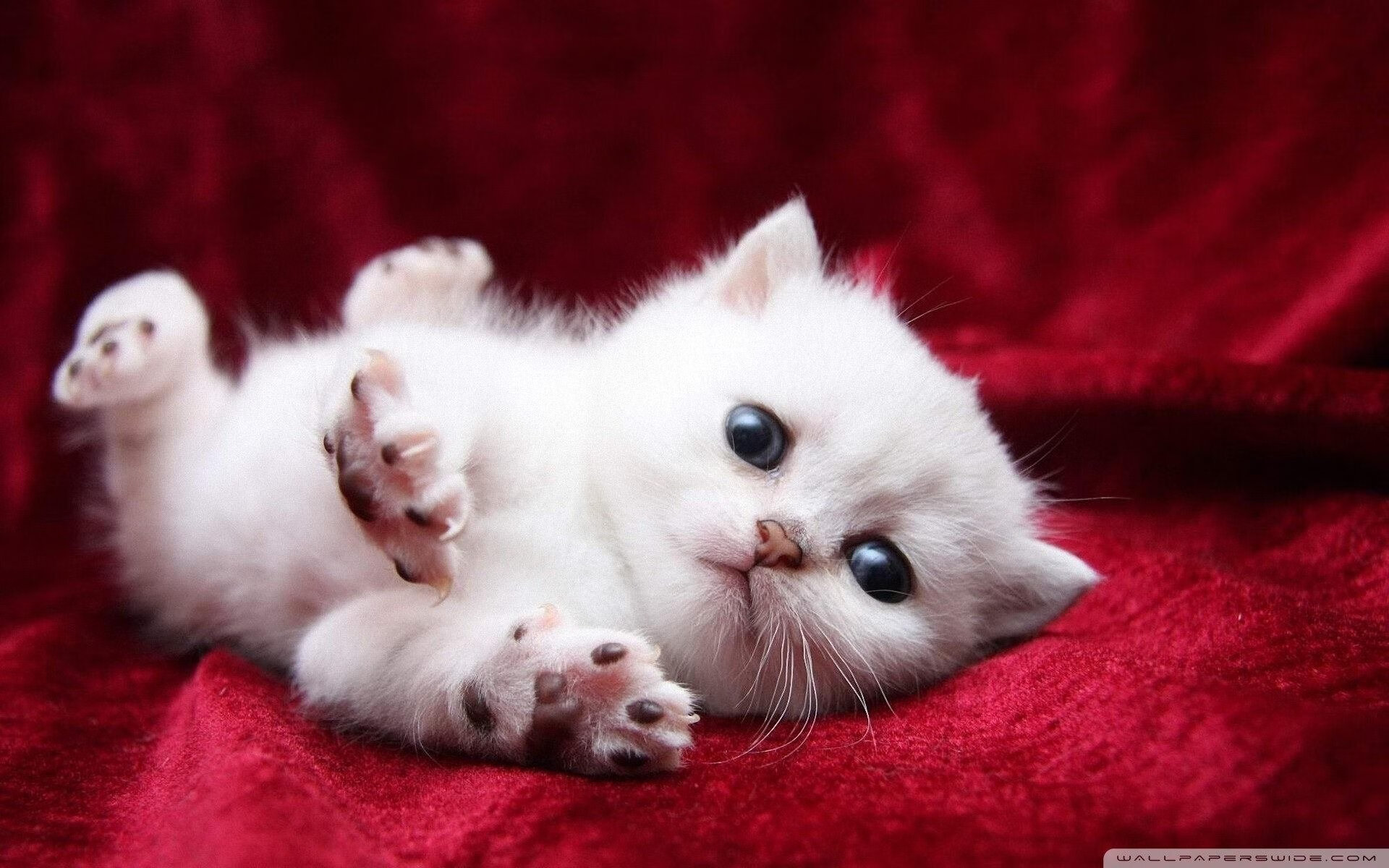 b体育平台-【赛事花絮】奥沙利文的精彩罚分瞬间盘点，奥沙利文打球视频