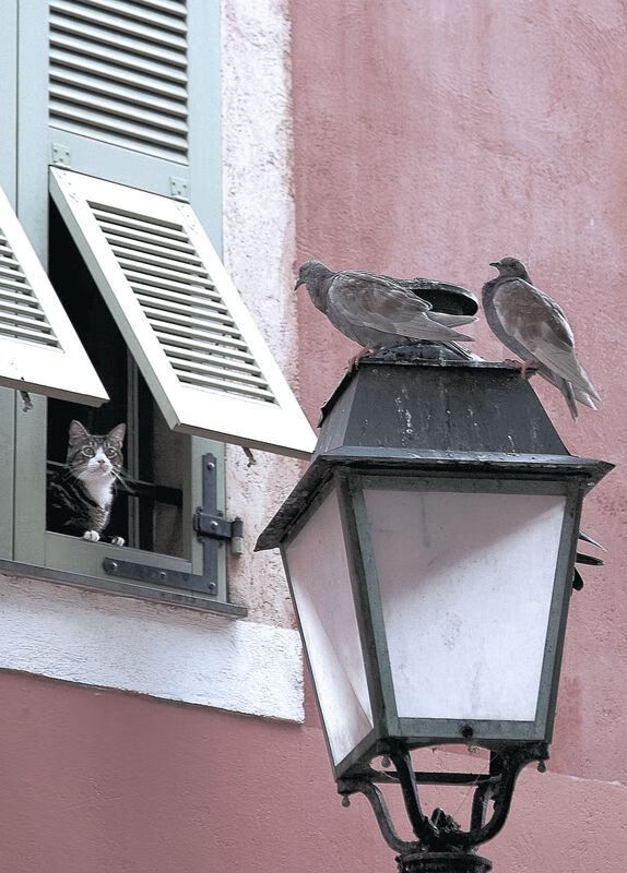 【赛事花絮】奥沙利文的精彩罚分瞬间盘点,奥沙利文打球视频