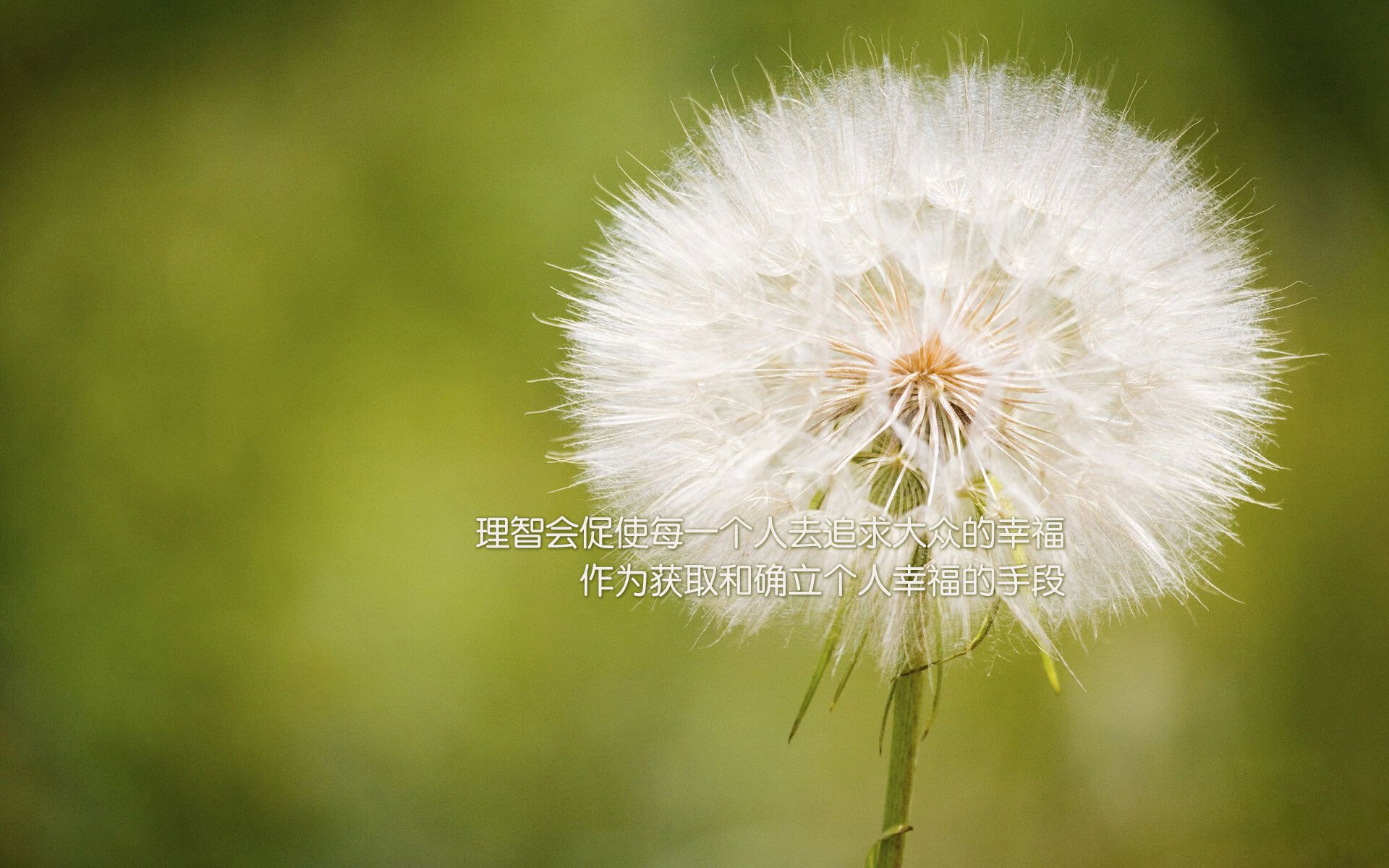 篮下争夺:北京抢篮板48个,攻守兼备!,北京篮球比赛赛程表