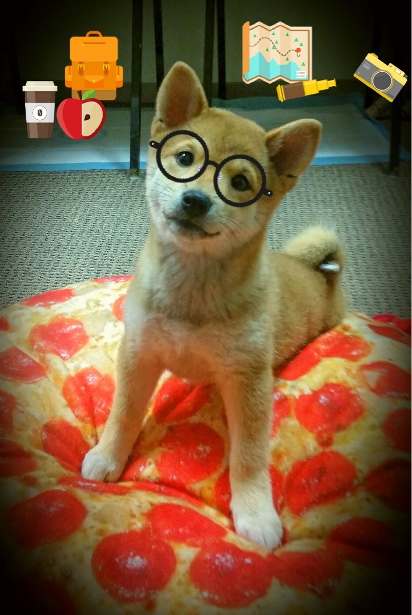 车队最新引援，谁能带来突破？，zq车队