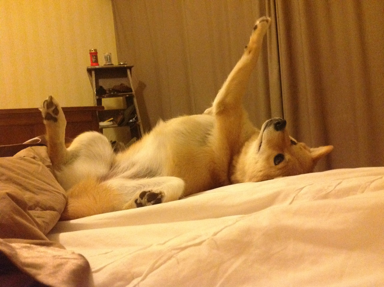 LCS夏季赛精彩回顾，lcs夏季季后赛