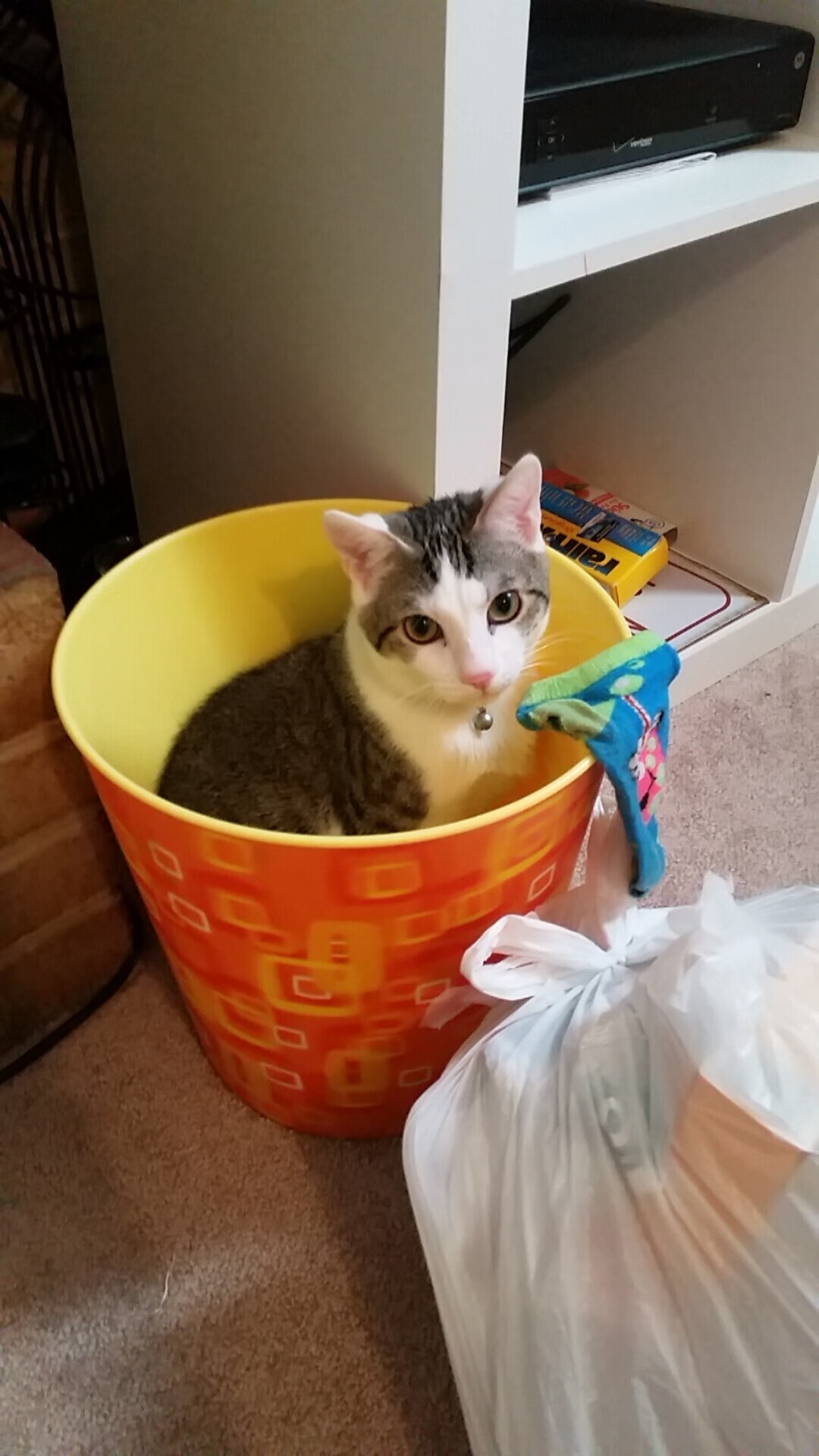 B体育-亚籍球员成为球队新一任队长，领军出征，亚洲球员