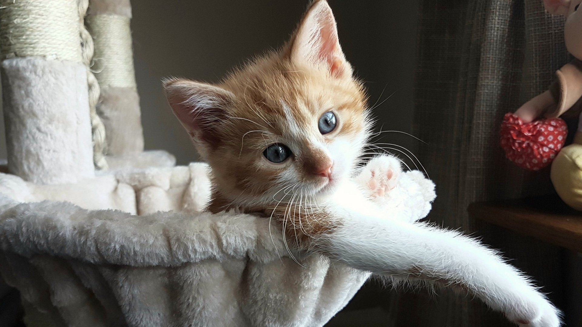 b体育平台-欧洲足球冠军联赛球队阵容大调整，实力有所提升，欧洲足联欧洲联赛冠军