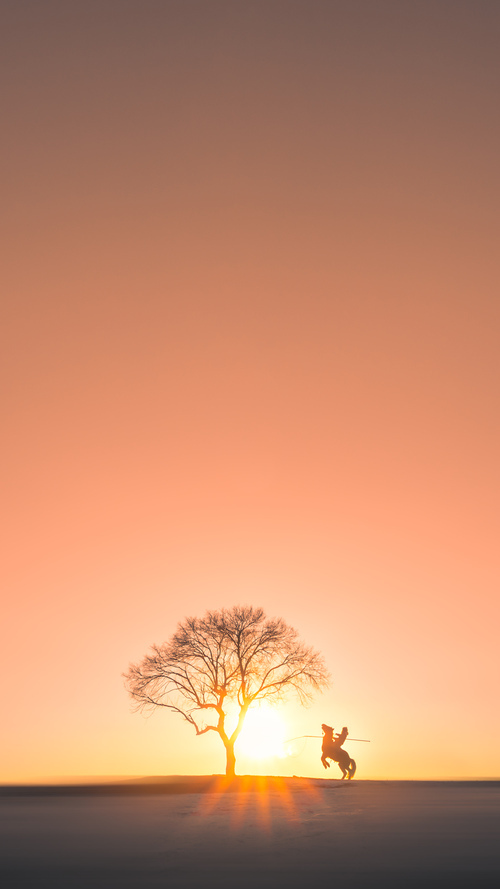 王大雷续约山东泰山,守护球门,王大雷为什么转会鲁能