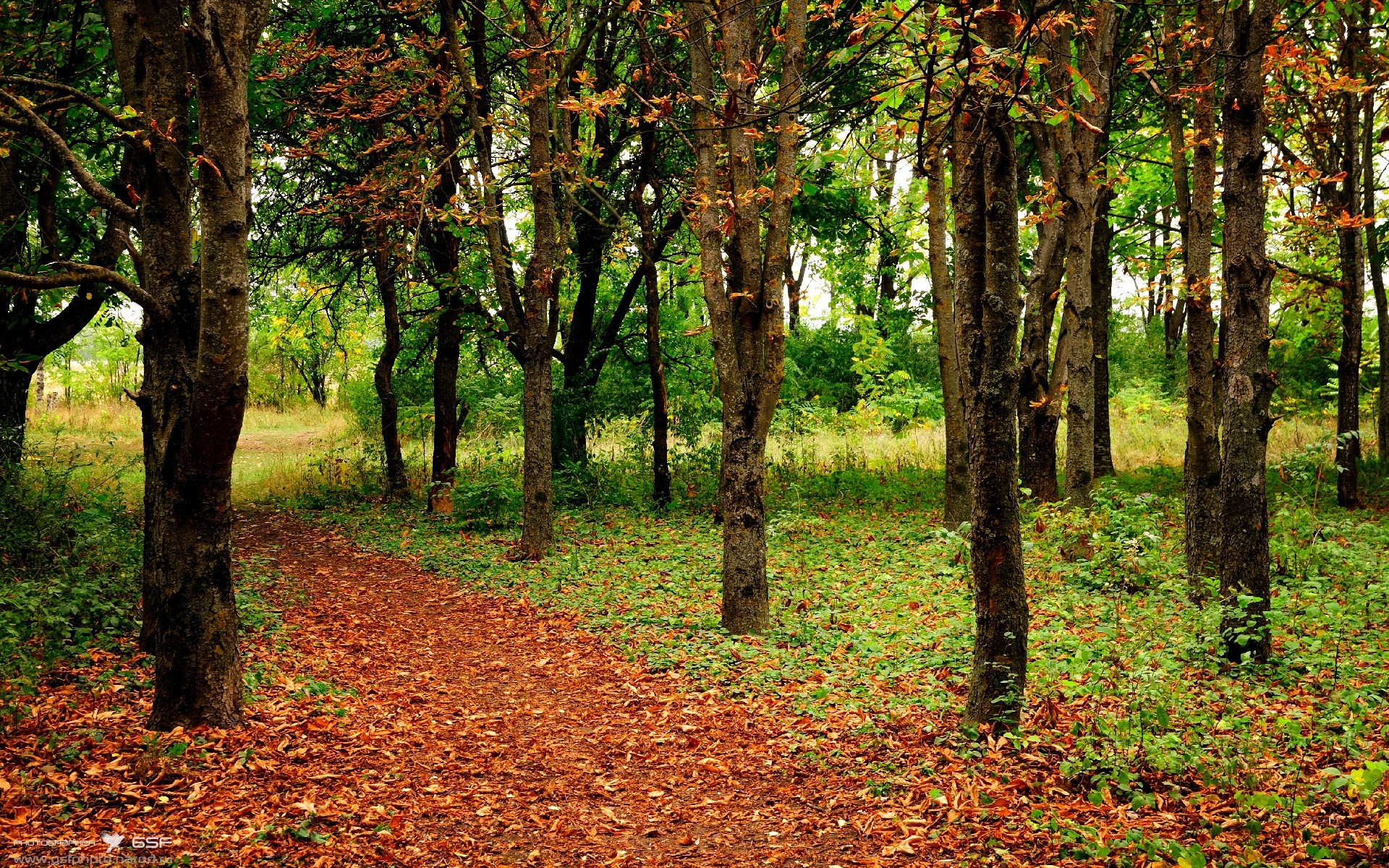 NBA球员竞技状态调节及心理干预，nba的竞争优势