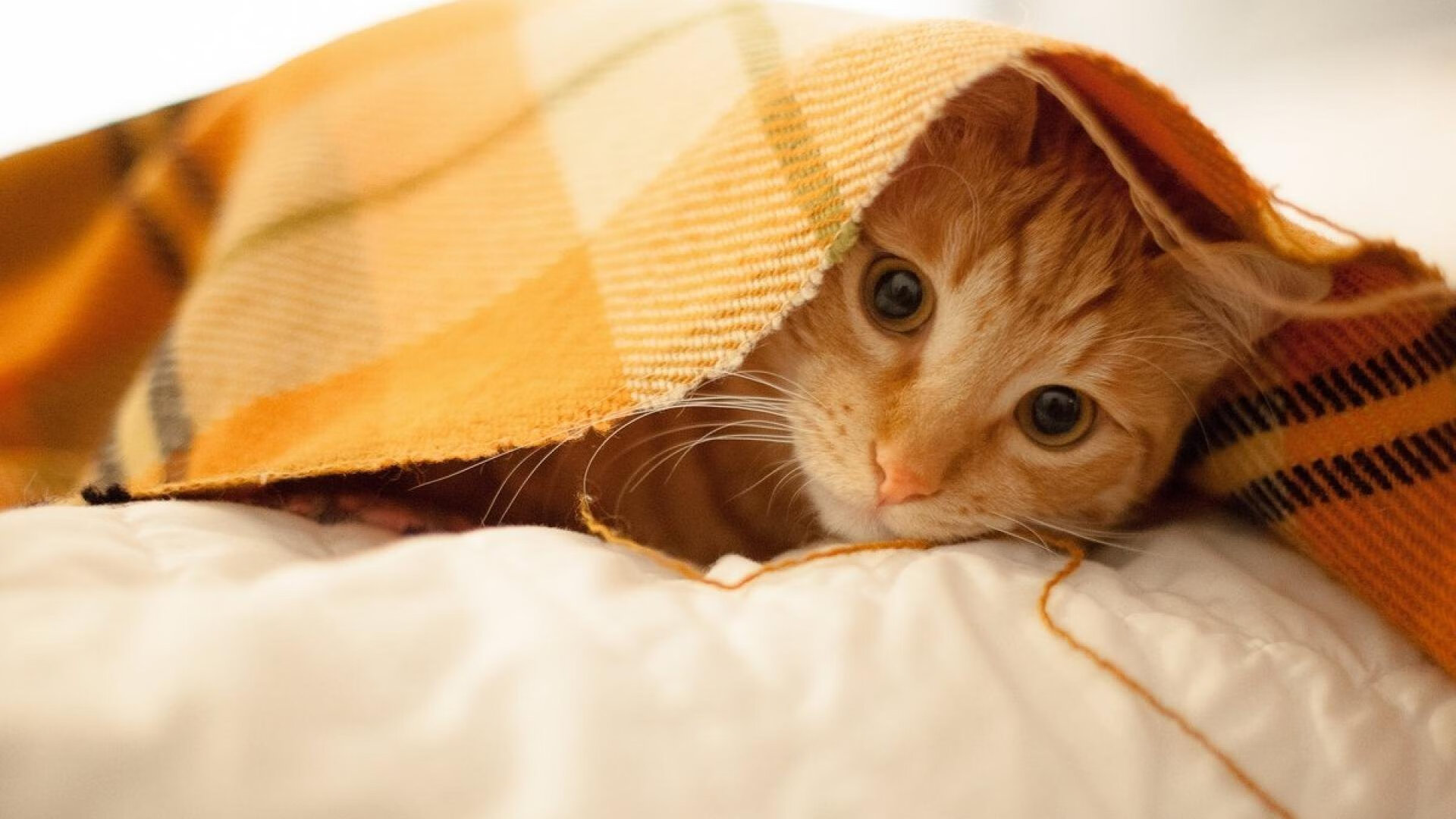 b体育电竞-NBA赛季进攻战术演变，nba进攻战术图解