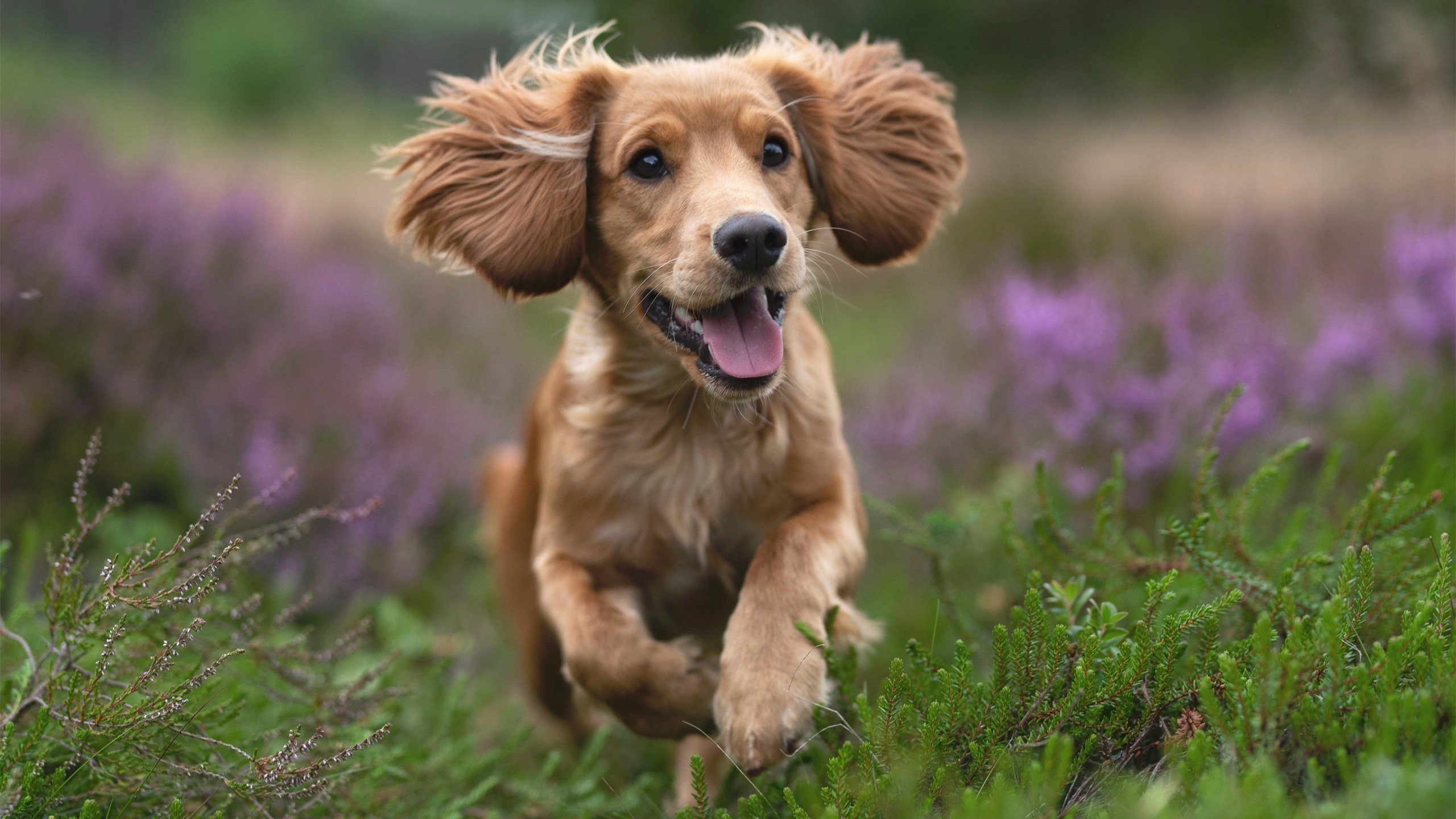 中国足球赛季关键球员失误追踪,中国足球错过的巨星