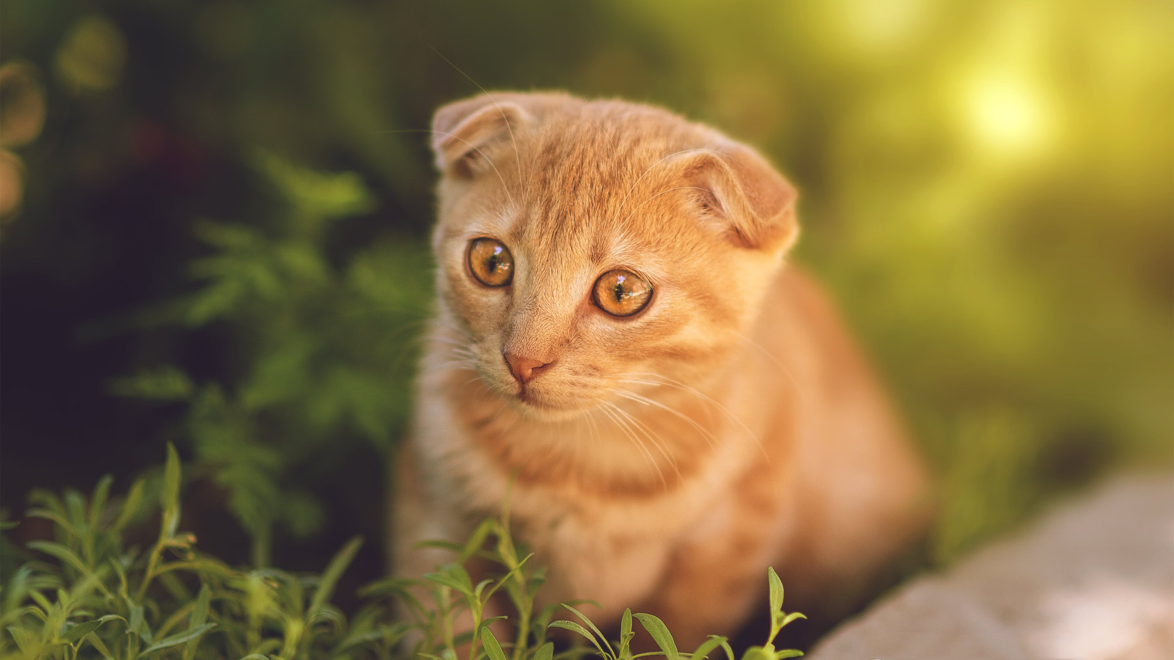 英超赛季中球员高强度跑动负荷与竞技表现的关联分析，英超球员跑动数据