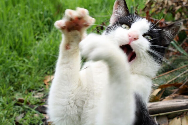 b体育在线平台-运动装备设计创新理念，全球运动装备创新设计大赛