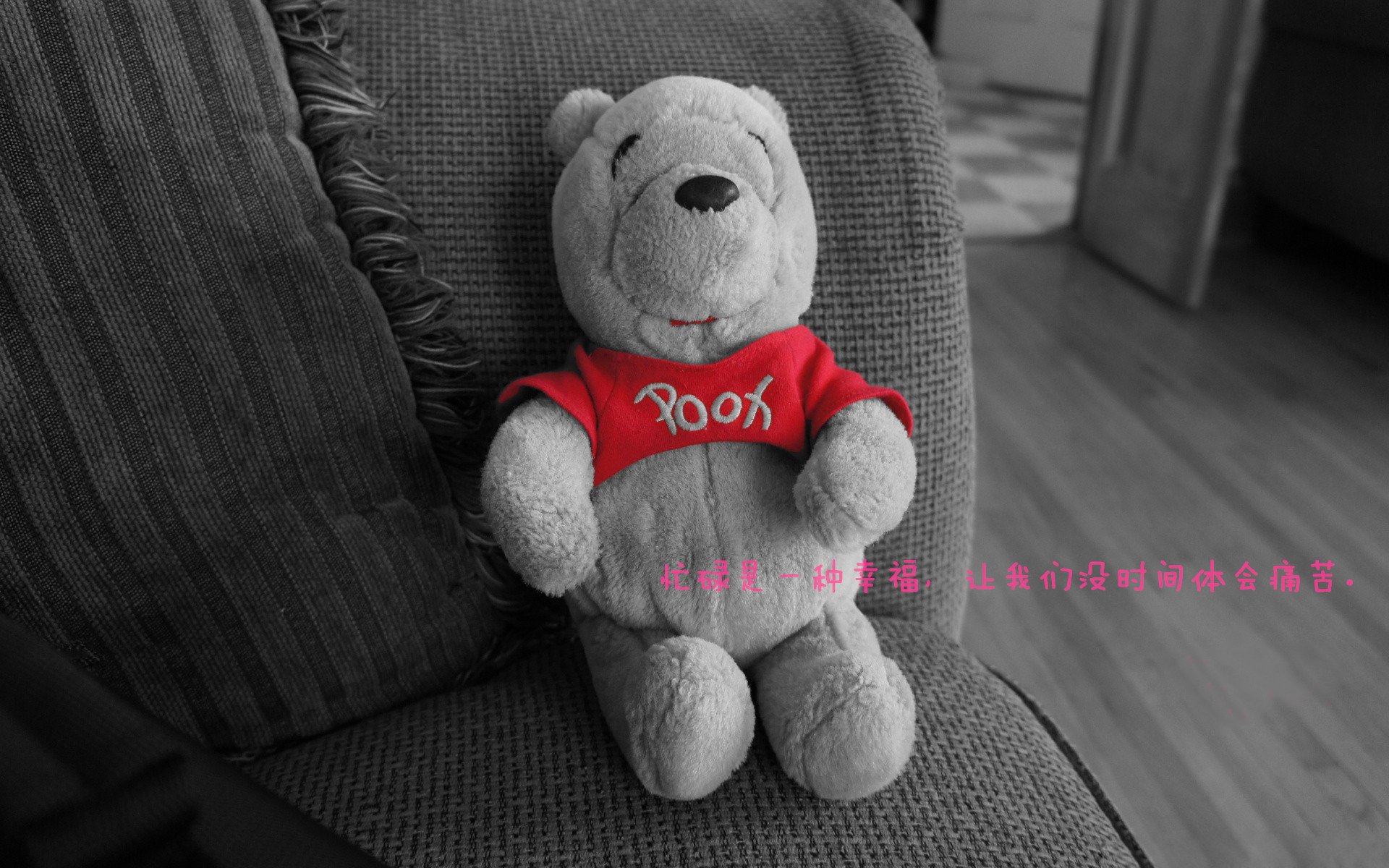 中国男篮集训强度稳步提升,中国男篮集训队的情况