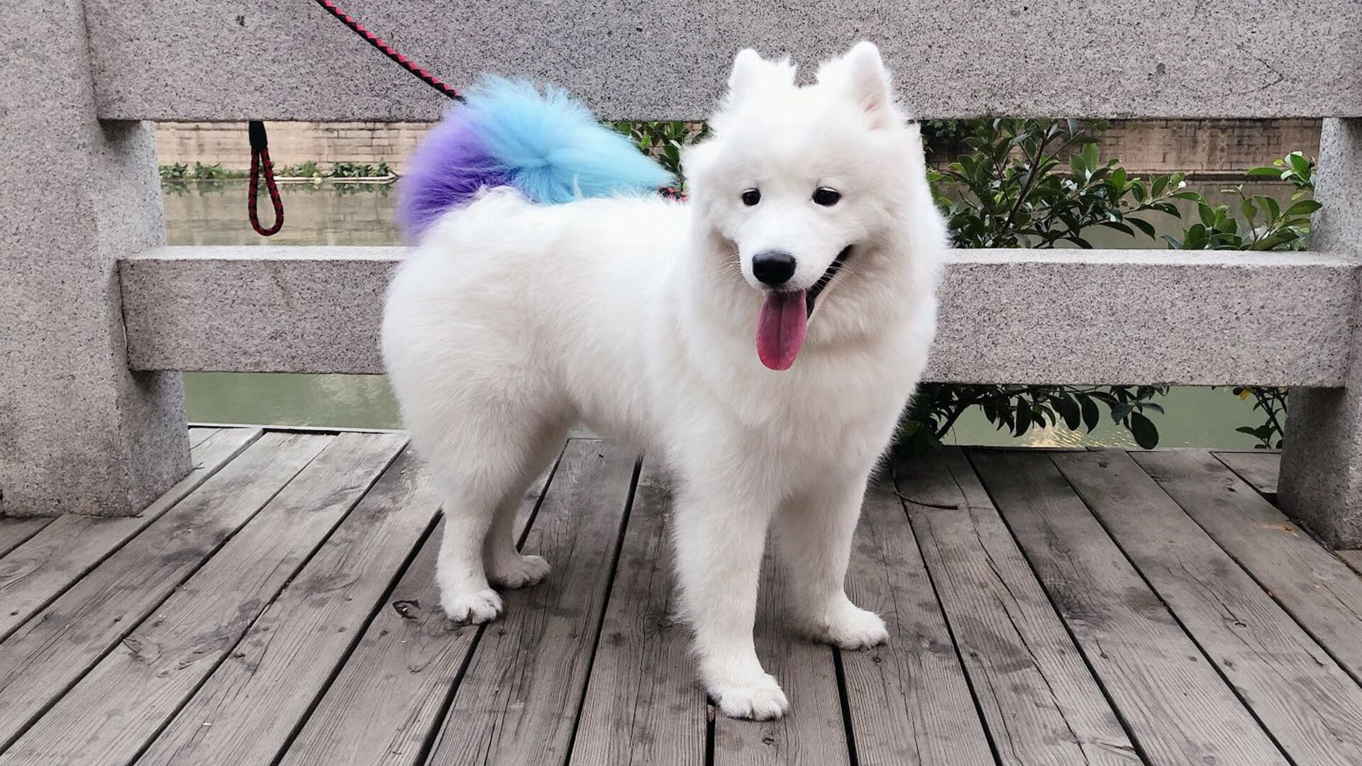 b体育直播-球队重视场外表现球员形象管理培训成为必修课之一，球队意识