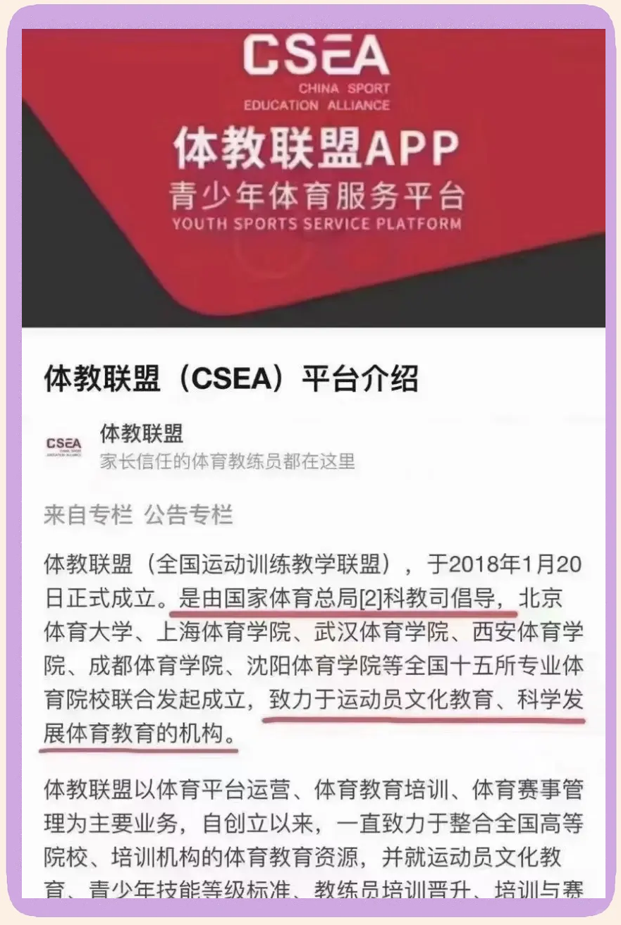B体育官网：中国篮球教练员培养：专业、创新与国际视野的简单介绍